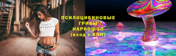 крисы Алексеевка