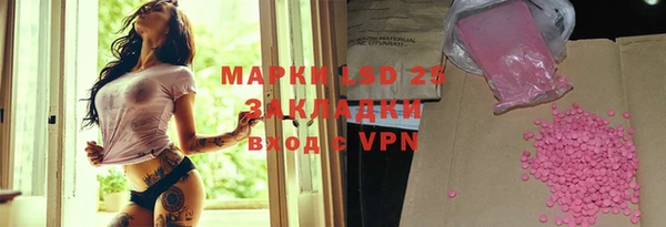 индика Алзамай