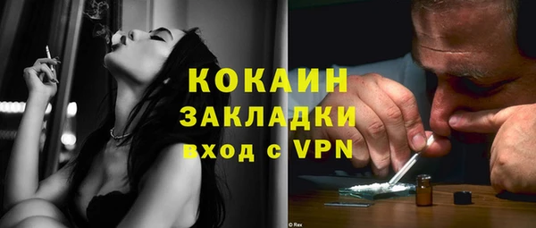 индика Алзамай