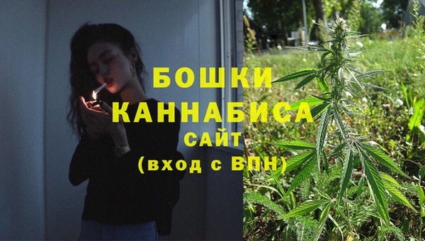 индика Алзамай