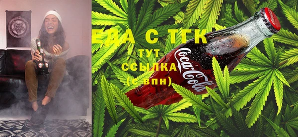 индика Алзамай