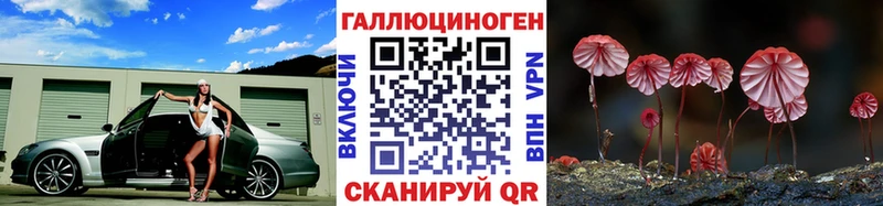 где купить наркоту  Киреевск  Галлюциногенные грибы Cubensis 
