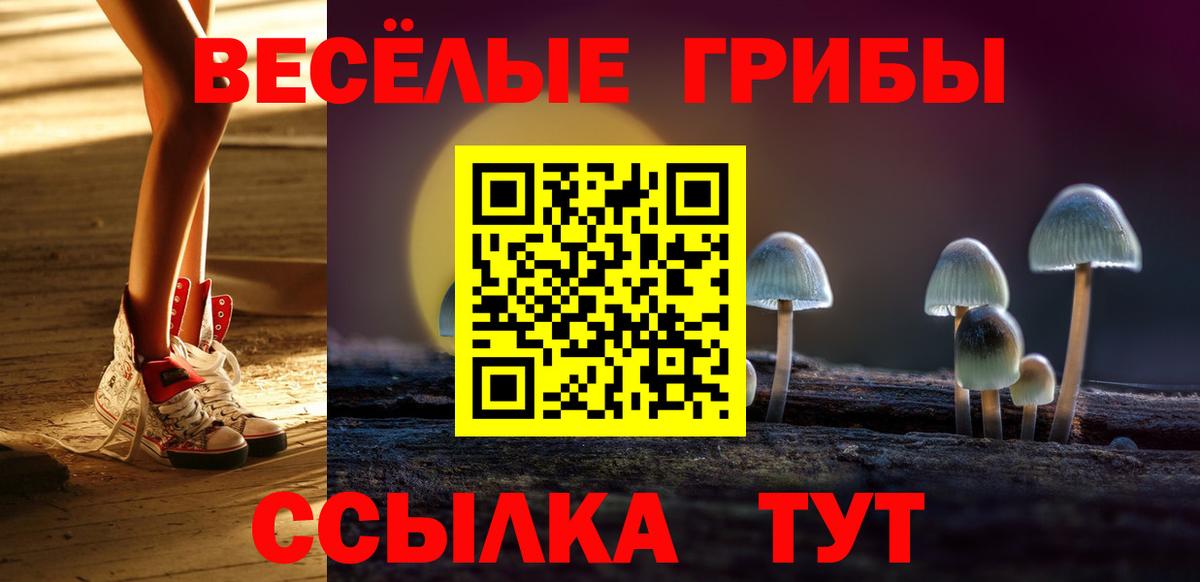 Галлюциногенные грибы ЛСД Киреевск